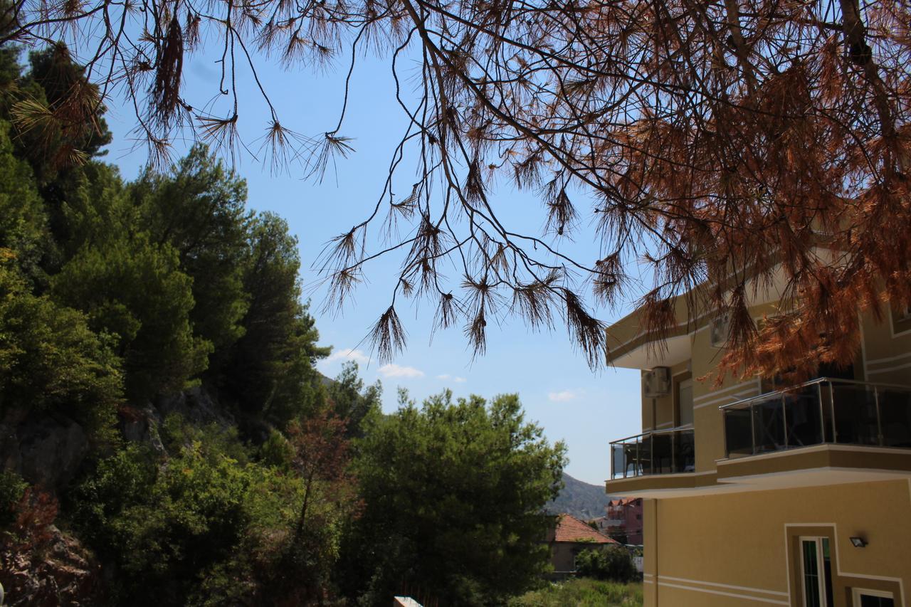 Hotel Eduard